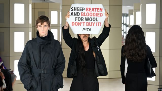 The CFDA Head Physically Restrained PETA Protesters at the COS Show