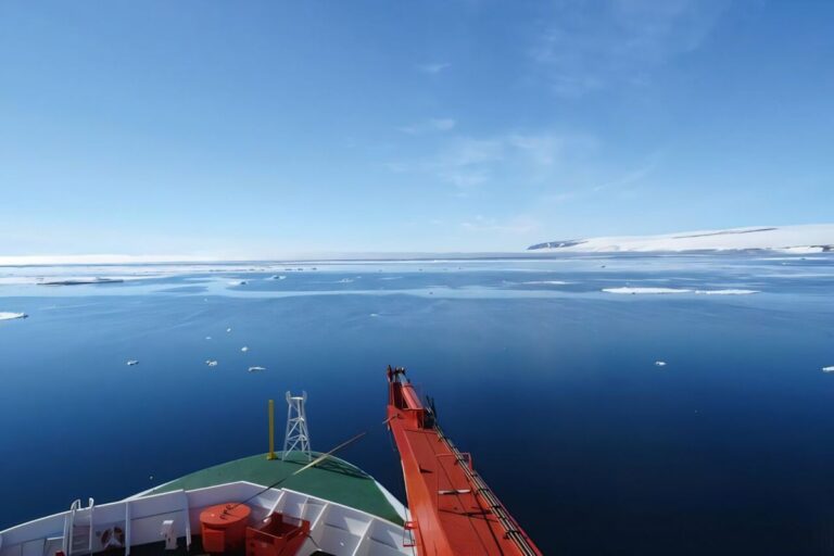 Shrinking sea ice during heat waves helps polar seas absorb more CO2, study finds
