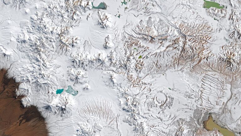 Experts uncover extraordinary fossil in one of the driest places on Earth
