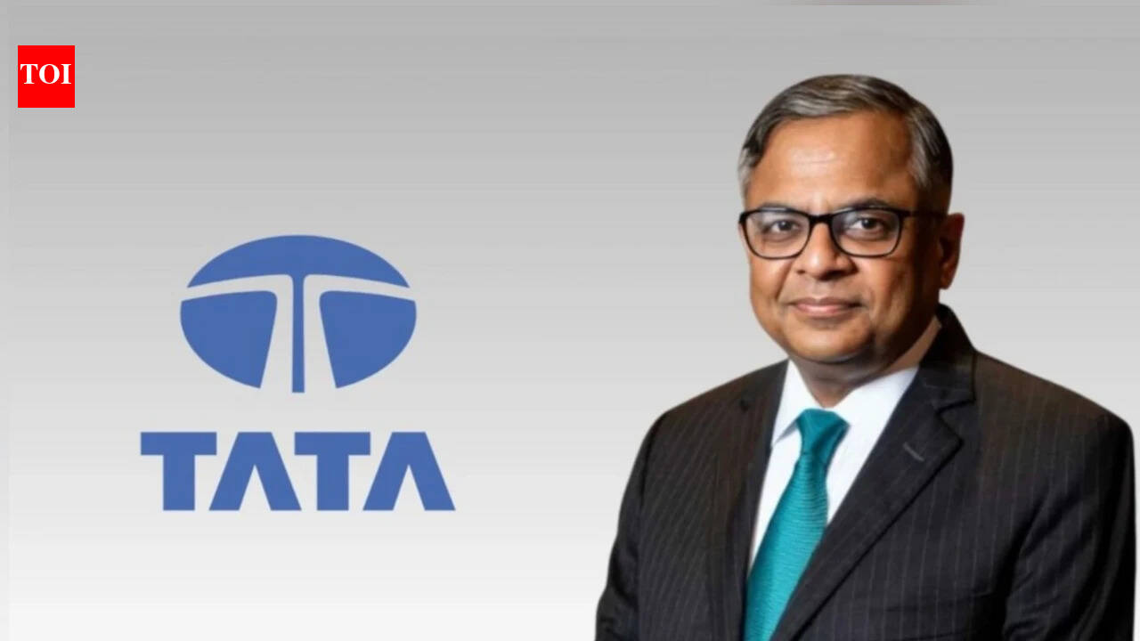 Tata Trusts' Listing Objection, Not Board Meeting, Is 'Real Issue': Harish Salve