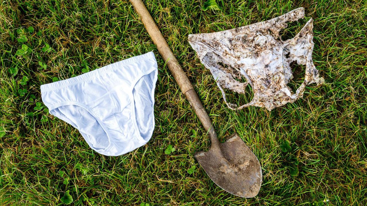 Ig Nobel Prizes Honor Research Using Buried Underpants to Test Soil Health