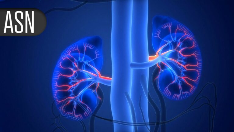 Kidney Donors Face Higher Risk of Preeclampsia, JAMA Study Finds