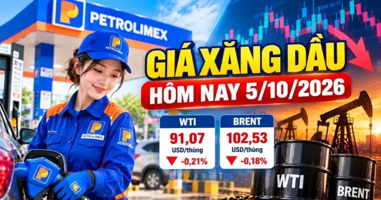 Oil Prices Dip as G7 Releases Reserves and Middle East Exports Recover