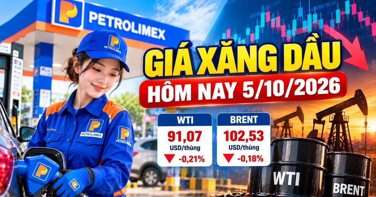 Oil Prices Dip as G7 Releases Reserves and Middle East Exports Recover