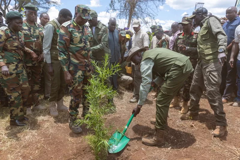 Mazingira Day: Ruto takes tree-planting drive to Trans Nzoia