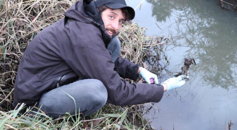 Researcher collecting samples in the hunt for cruciviruses