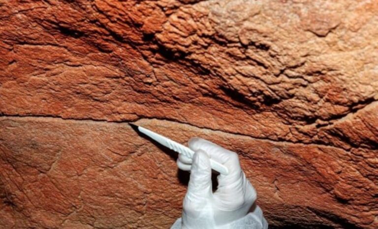 Scientists Found Ancient Human Dna On Cave Walls For The First Time, And Some Came From Rock No One Ever Painted