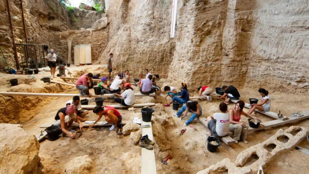 Neanderthal Woodworking Was More Advanced Than Previously Thought, Study Shows
