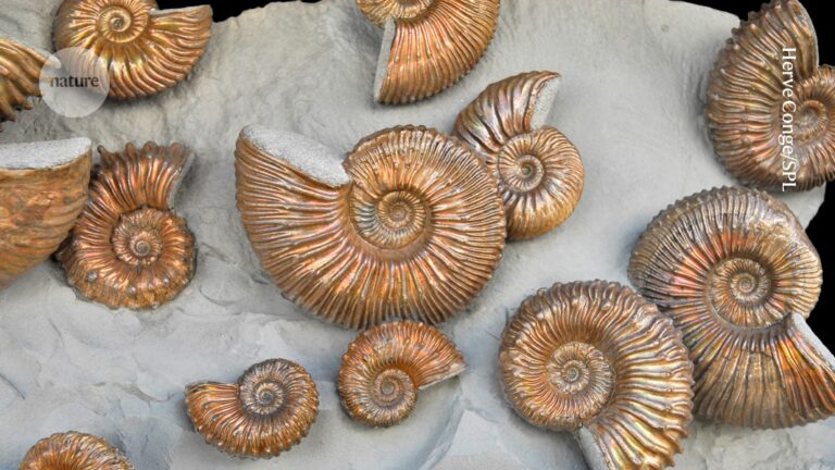 OneStrata AI Model Reassesses Earth Mass Extinctions