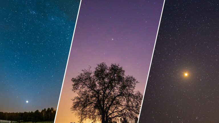 three panel image showing on the left a bright point of light in a deep blue sky in the center a tree is silhouetted against