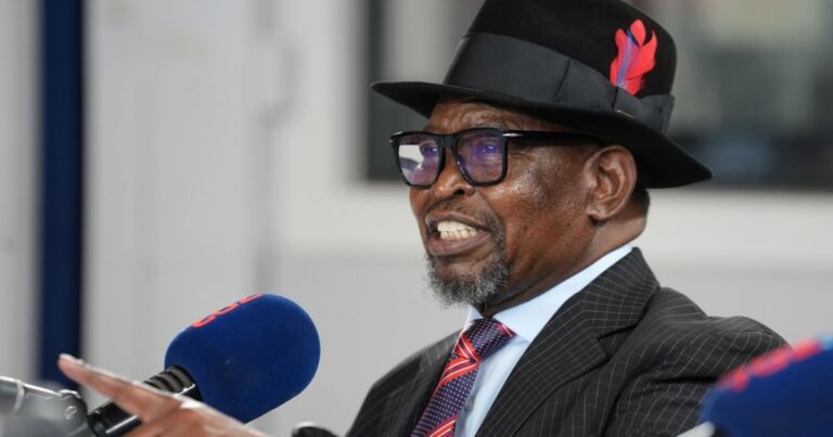 Enoch Godongwana Plans Permanent Removal of Fuel Levies
