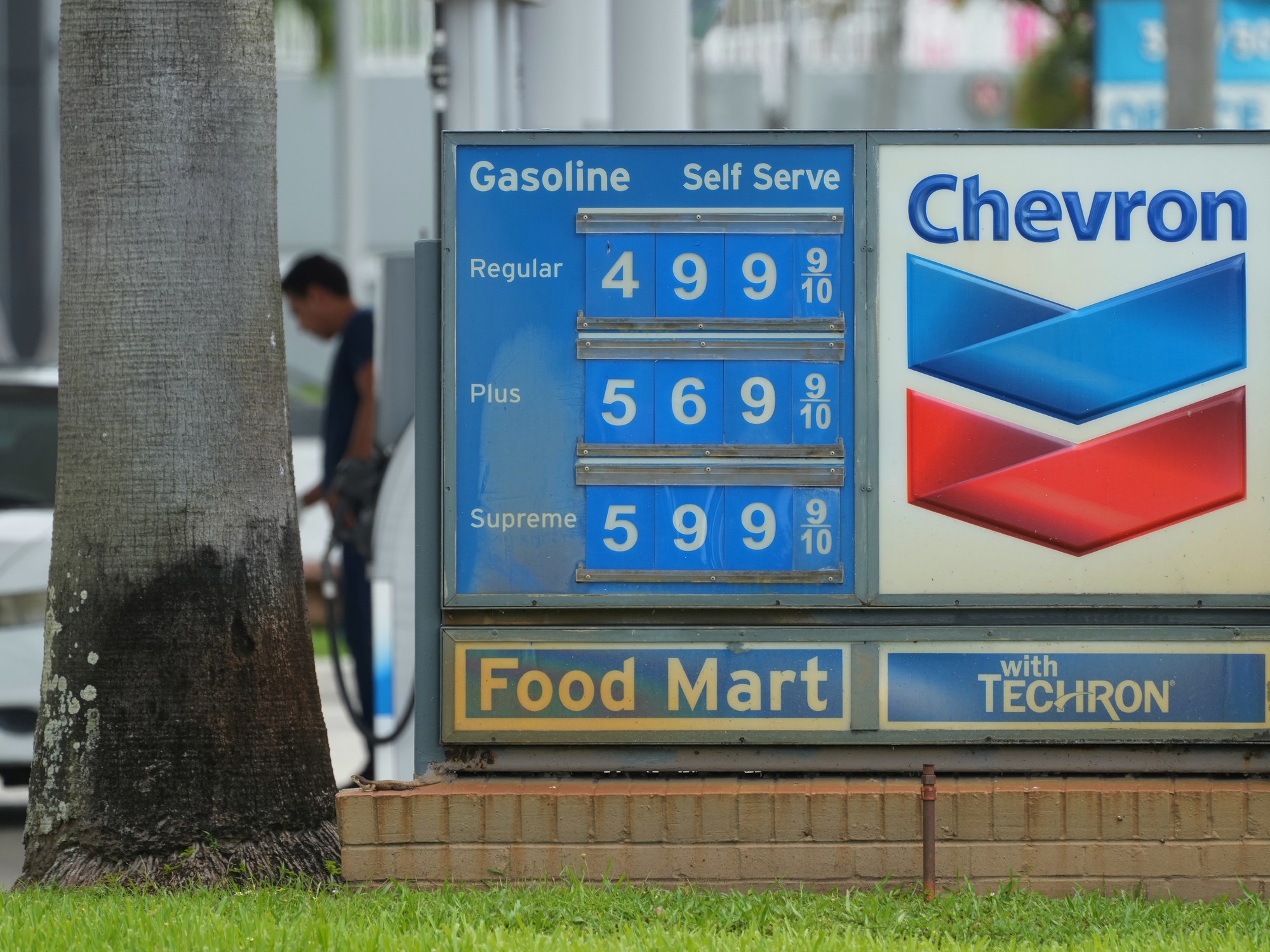 Trump Faces Voter Backlash as Gasoline Prices Surge Before Midterms