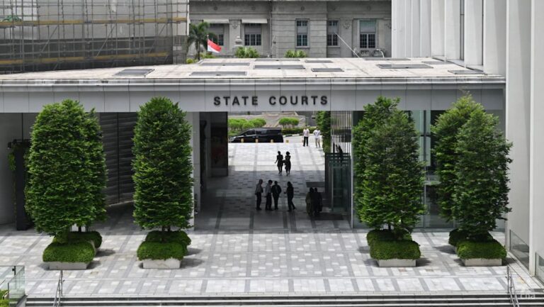 Italian National Gets Jail, Caning for Human Trafficking of Singaporean Woman