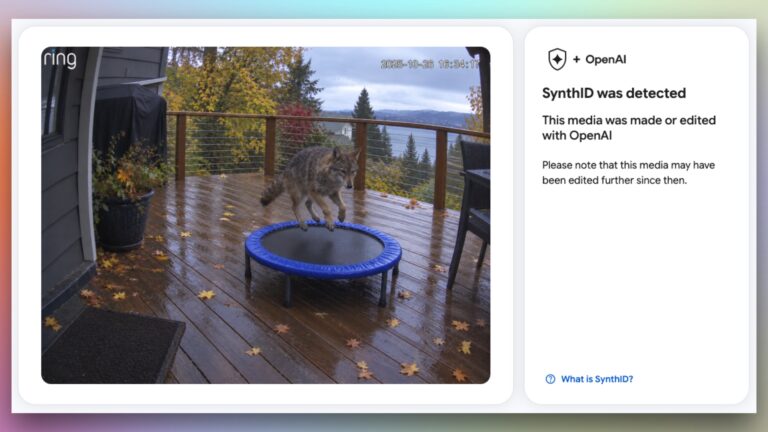 Screenshot of a tool determining that a photo of a coyote jumping on a trampoline includes a SynthID tag