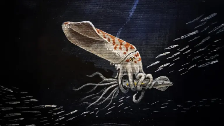 Paleontologists Identify Wyoteuthis linsterorum as Chunky Ancient Squid Relative